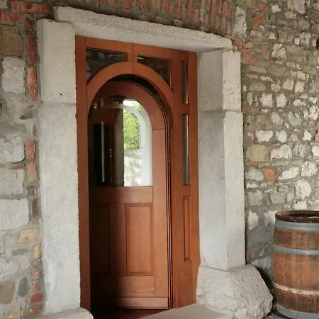 Domacija Linc דירה Rodik