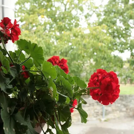 דירה Domacija Linc Rodik