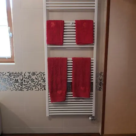 Domacija Linc דירה *