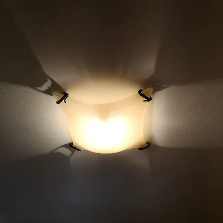 Domacija Linc * Rodik