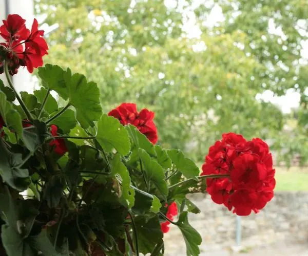 Lejlighed Domacija Linc Rodik