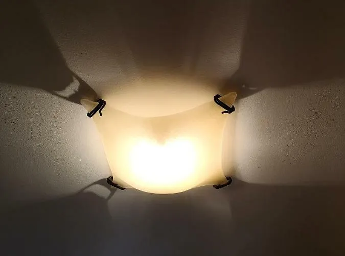 Domacija Linc * Rodik